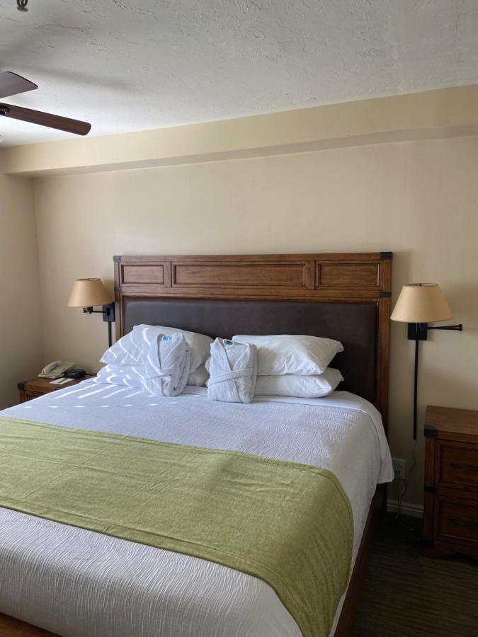Deluxe One-Bedroom Apartment