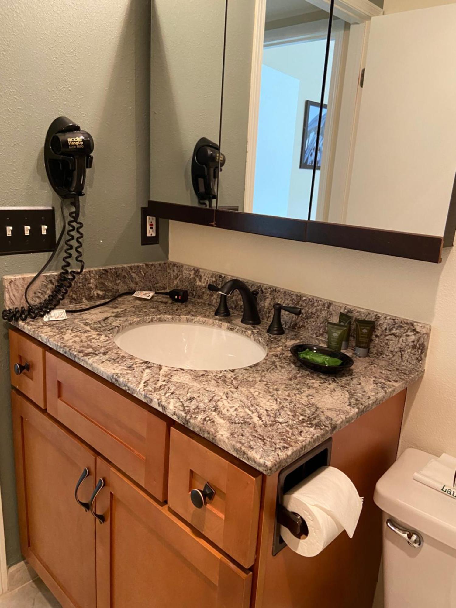 Deluxe One-Bedroom Apartment