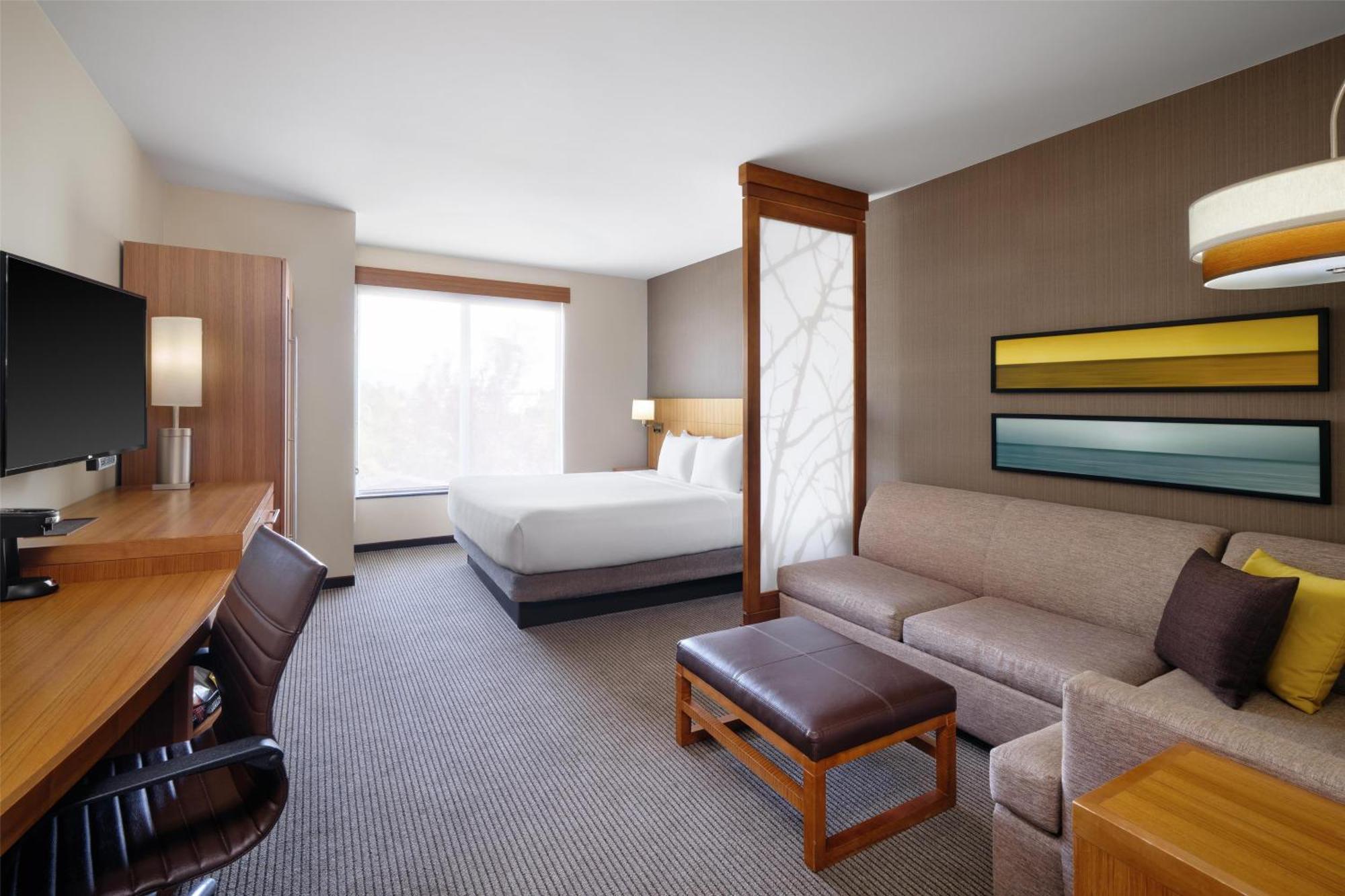 King Room Sofa Bed