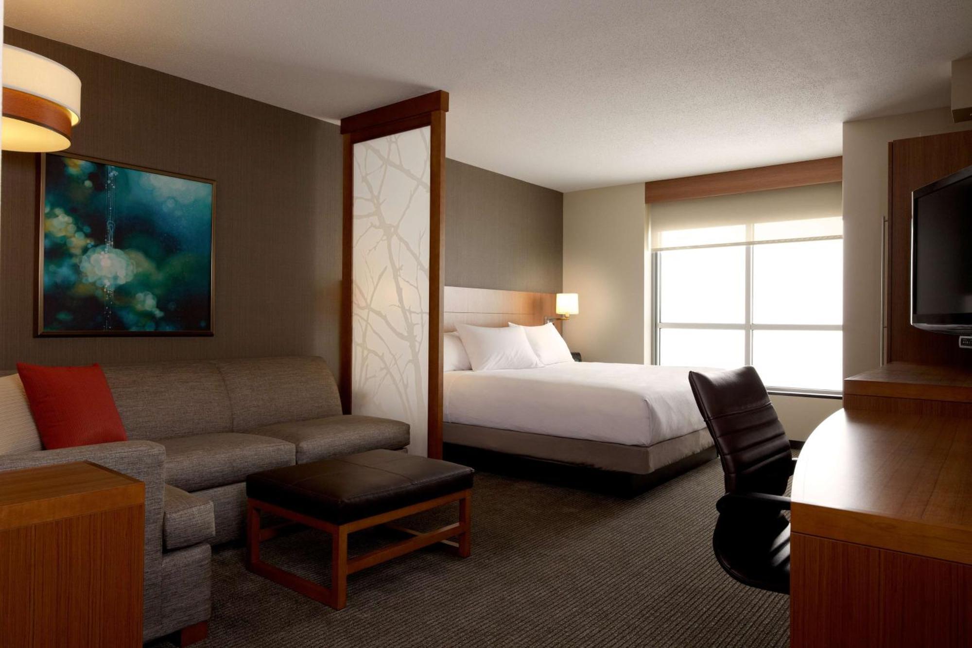 King Room Sofa Bed